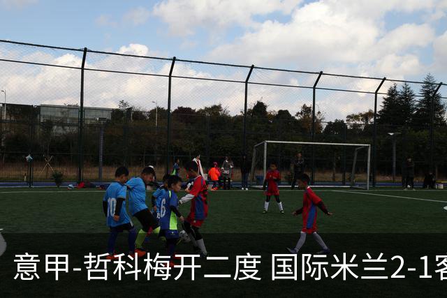 意甲-哲科梅开二度 国际米兰2-1客胜终结连败